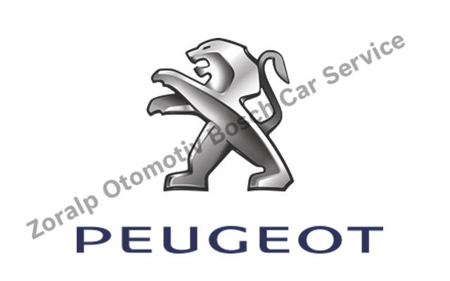 Konya Peugeot Servisi